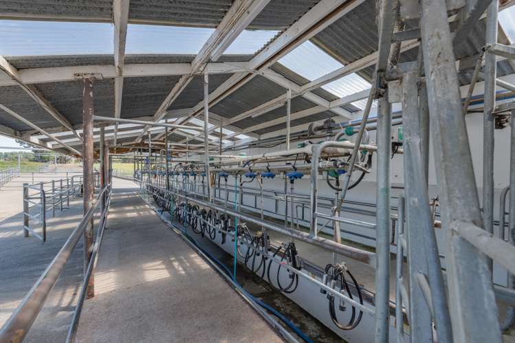 172 Kakariki West Road Eketahuna_19