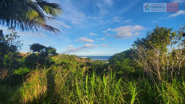 FREEHOLD RESIDENTIAL LAND FOR SALE-- SEE & HEAR THE OCEAN IN MAUI BAY (CORAL COAST)