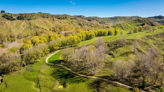 56 Nilsson Road Elsthorpe_2