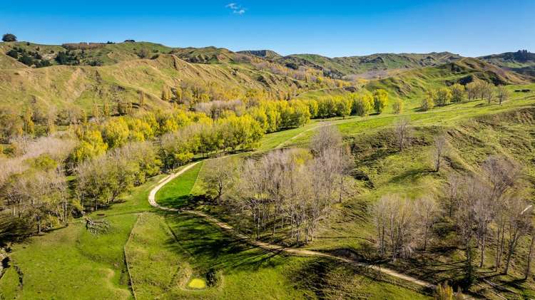 56 Nilsson Road Elsthorpe_2