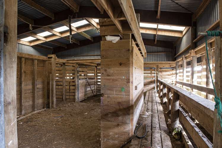 Parahi Road Ruawai_6