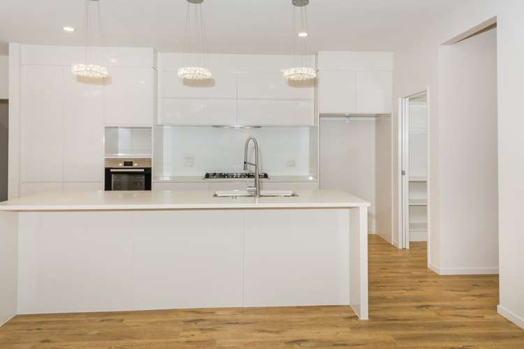 97 Bayside Drive Browns Bay_11