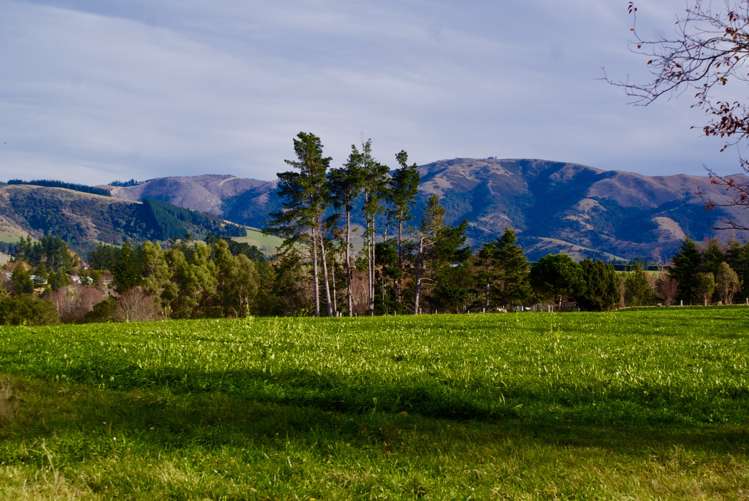 254 Maytown Road Waimate_0