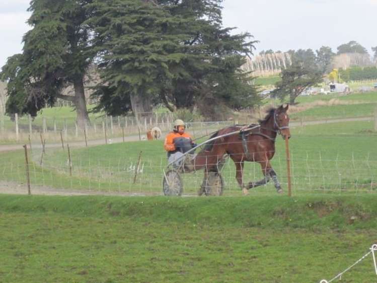 91 Millton Park Road Mill Road_15