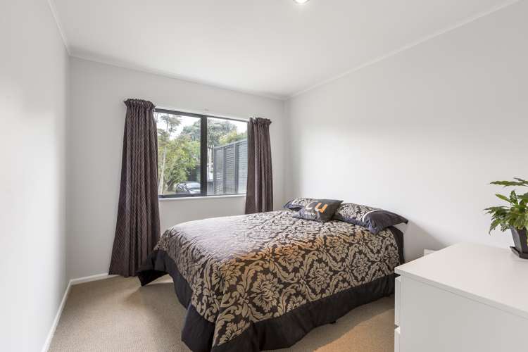 39 Horseshoe Bush Road Dairy Flat_7