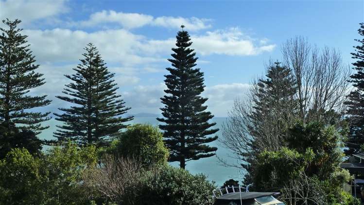 33 Patui Avenue Ngarimu Bay_35