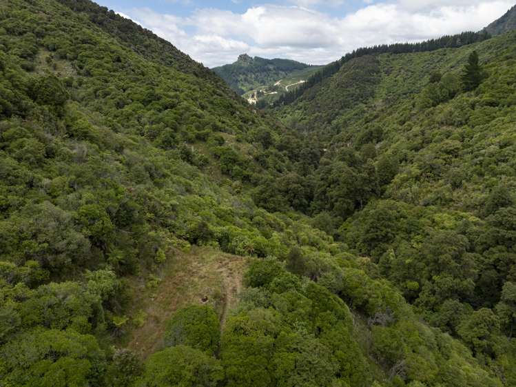 144 Graham Valley North Branch Road Motueka Valley_28