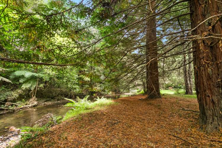 5816 Mangakahia Road Awarua_21