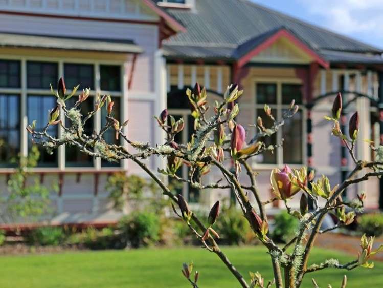 78 Poole Street Motueka_21