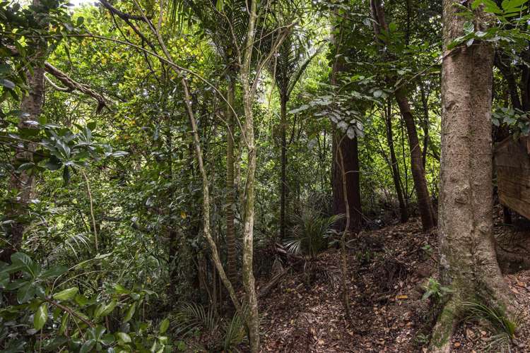 32a Kereru Street Maunu_21