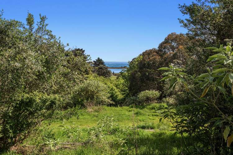 93 Loop Road Ohiwa_10