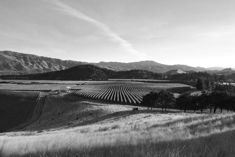 220 Ballochdale Road Awatere Valley_14