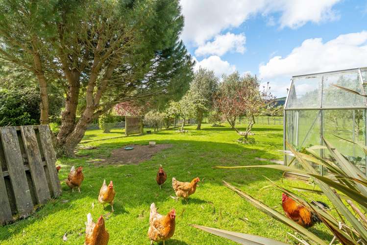 43 TVL Road Blue Mountains_24