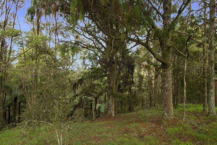 340 Pigs Head Road Hukerenui and Surrounds_19