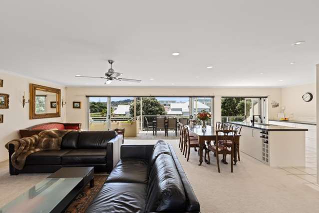 363C Hibiscus Coast Highway Orewa_4