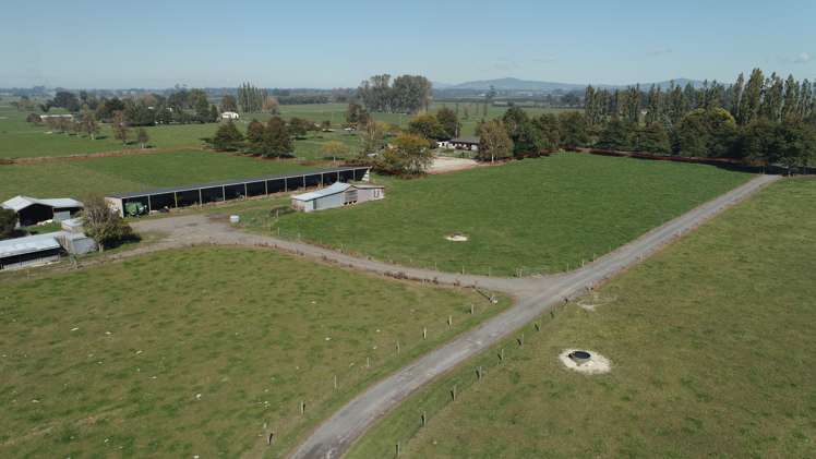 222 Waghorn Road Wardville_19