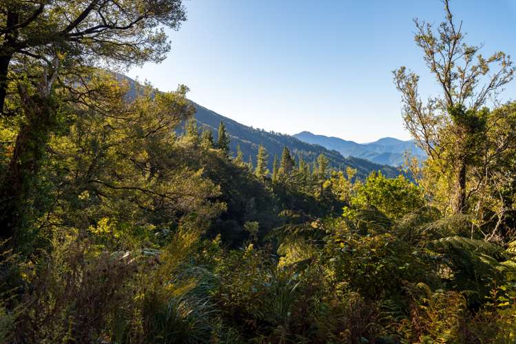 2464 Port Underwood Road Port Underwood_20