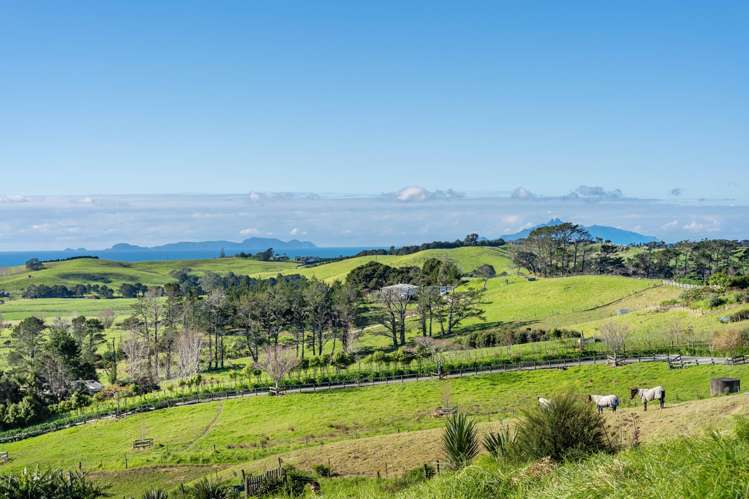 Cottage Hill Way Waipu_11