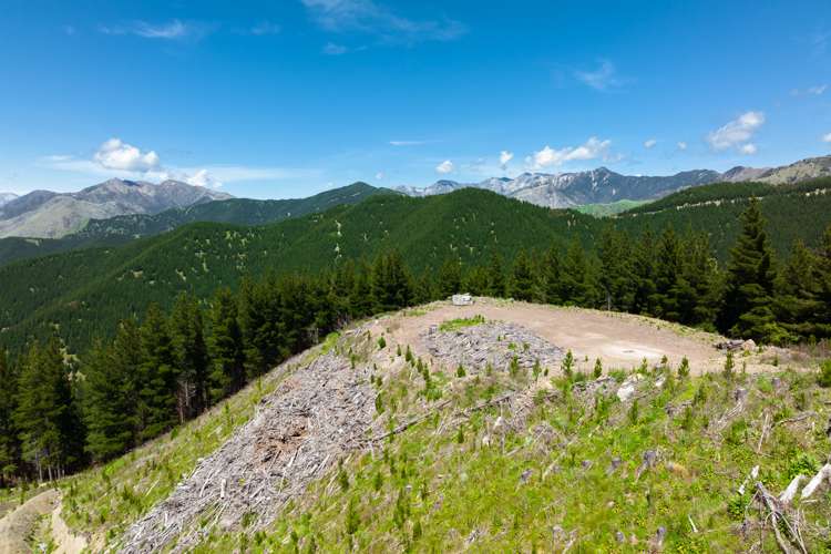 Waihopai Valley Road Waihopai Valley_12