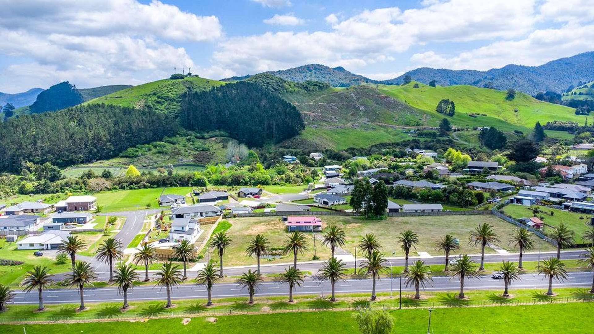 164 Parry Palm Avenue Waihi_0