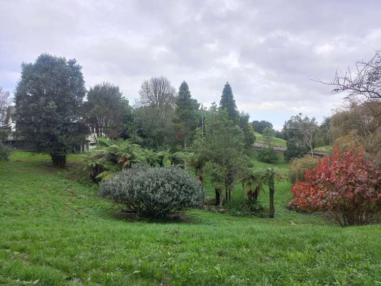 155 Woolrich Road Te Kowhai_5