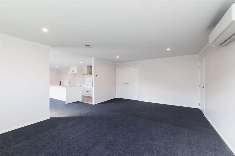 53 Hereford Street Marton_7