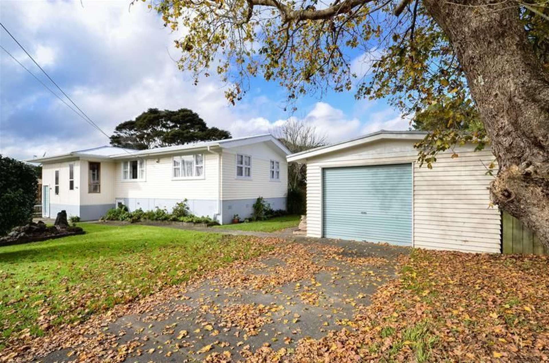 100 Glen Road Ranui_0