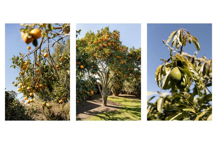 84 Grieve Road Otakiri_16