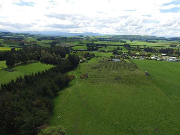 31 Kellaway Terrace Waikari_21