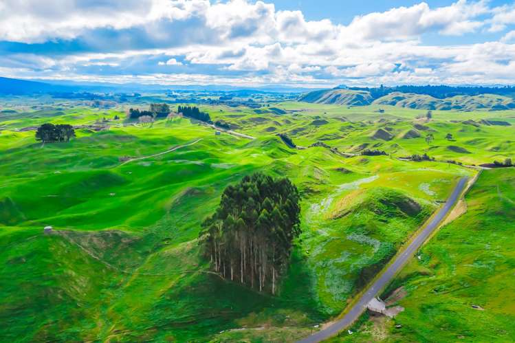 473 Otake Road Marotiri_15