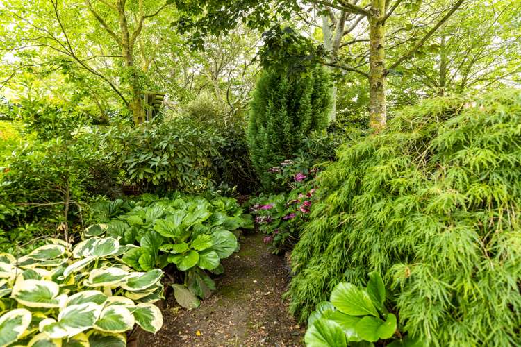 3018 Methven Highway Methven_17