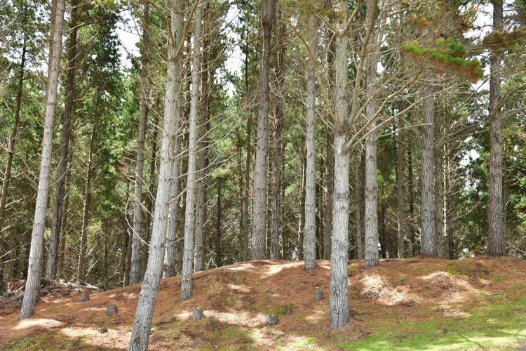 708 Wilson Road South Head_15