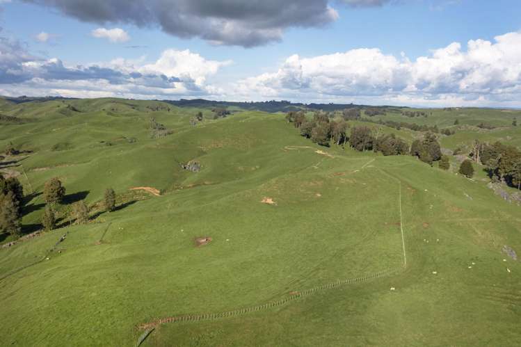 574 Mangaotaki Road Piopio_11