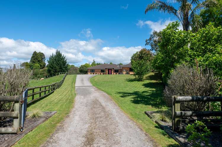 9 Ascot Vale Tikitere_30