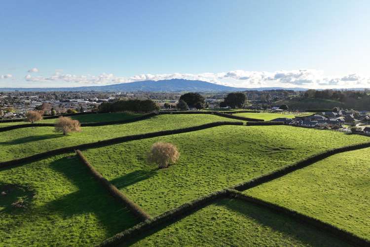 Picquet Hill Road Te Awamutu_8