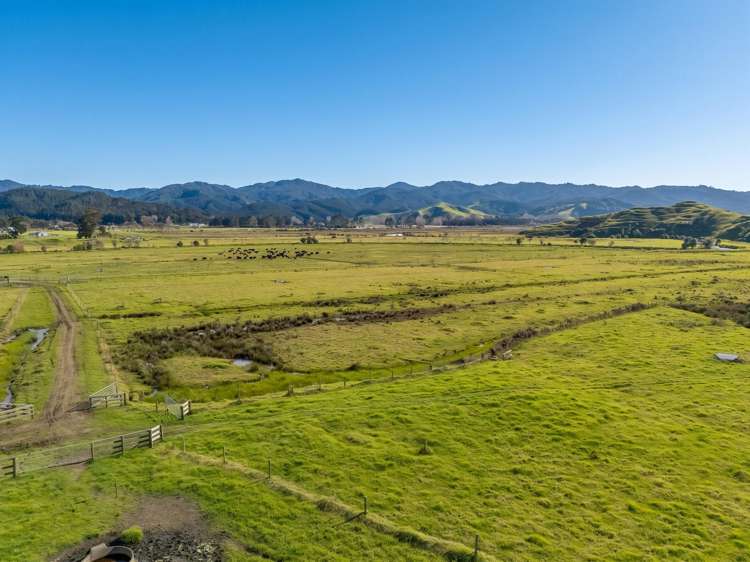 Lot 1 Proposed Subdivision of 157 Sh25 Te Rerenga_7