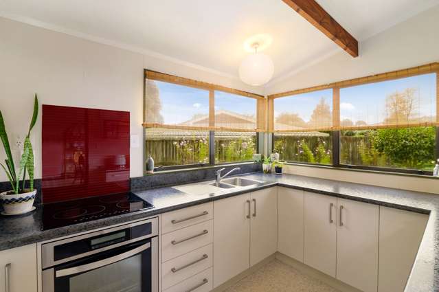 359c Old Taupo Road Springfield_3