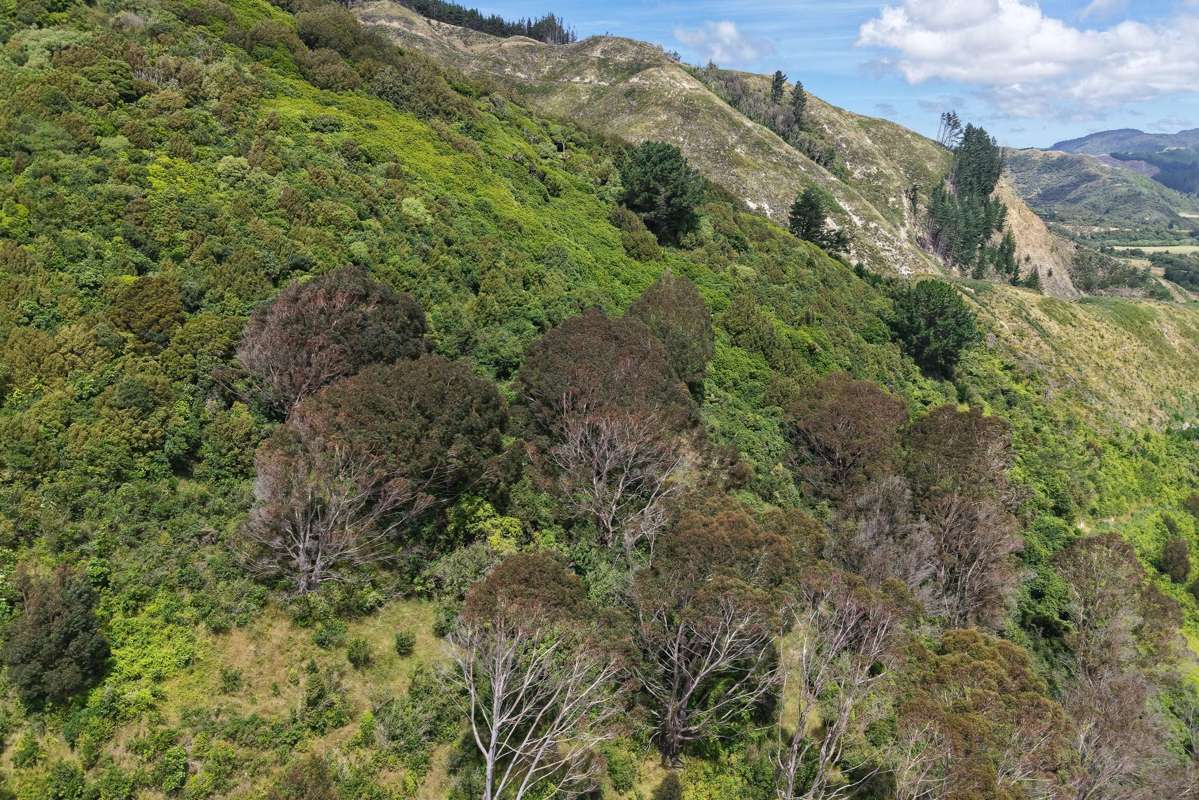 108 Kakariki Grove_3