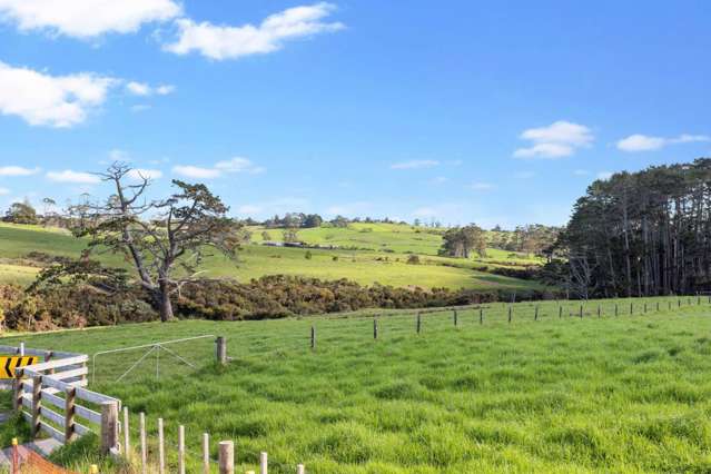 86 Puwha Street Massey_3