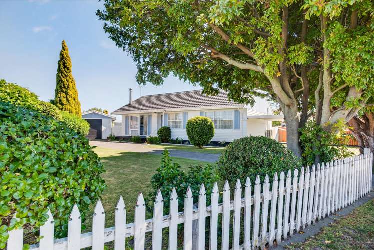 20 Norfolk Street Tamatea_18