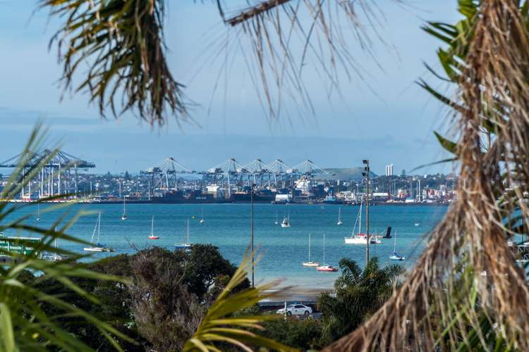 13 Richmond Avenue Northcote Point_1