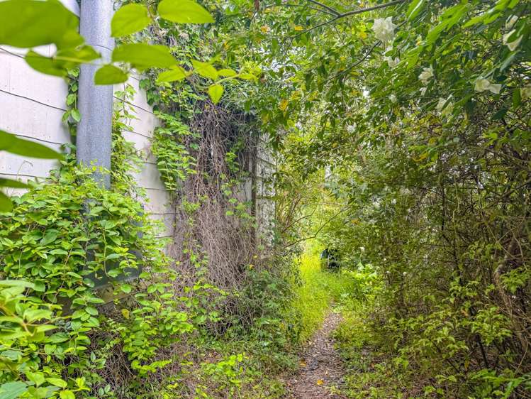 131 Rosier Road Glen Eden_13