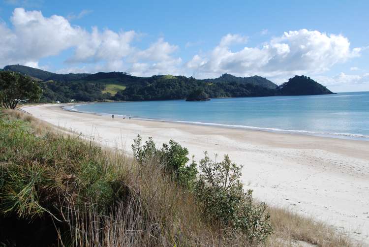 344 Tangiora Avenue Whangapoua_14