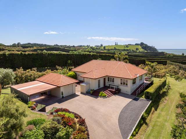 11b Stokes Road Katikati_1