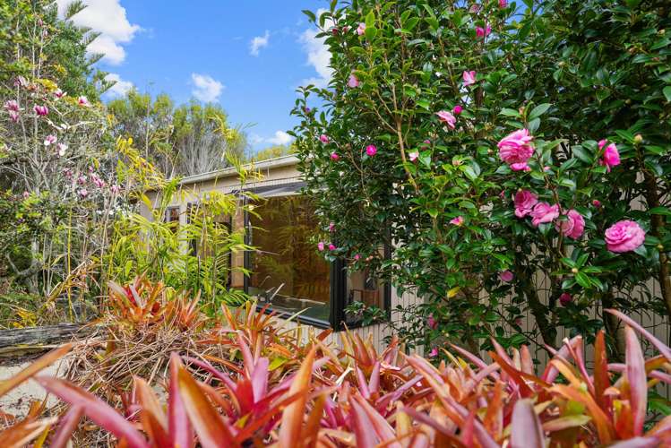 40a Duncansby Road Stanmore Bay_32