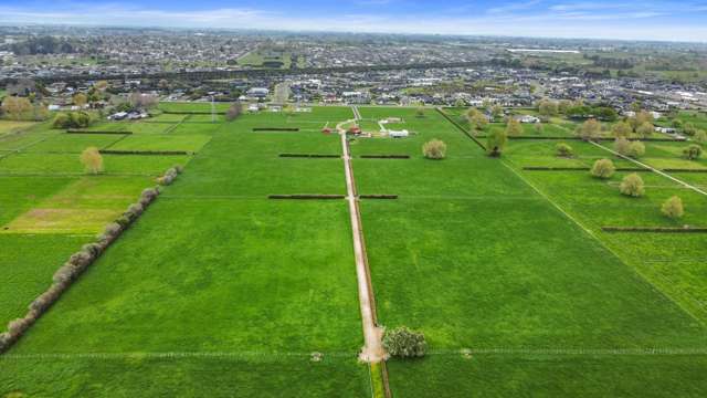 86 St Kilda Road Cambridge_3