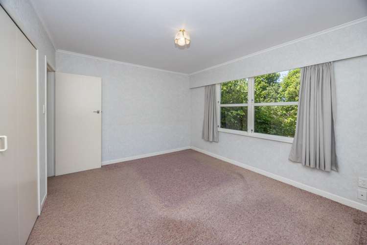 268 Marychurch Road Matangi_12