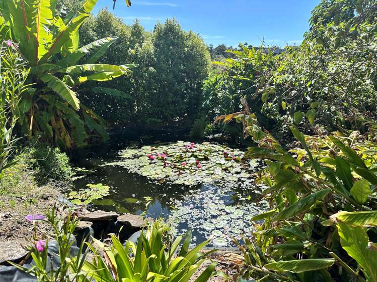 37 Rarere Terrace Kerikeri_27