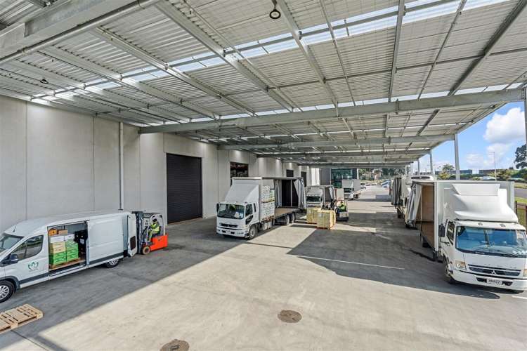 323 Landing Drive Mangere_3