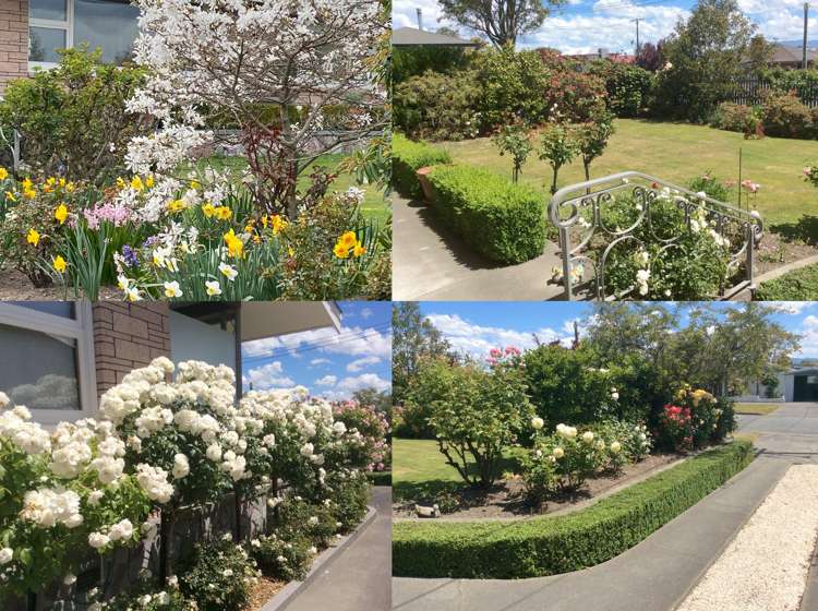 41 Broadway Avenue Timaru_18